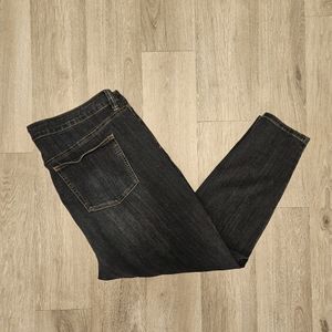 Molly & Isadora Jeans Plus Size 22 Ankle Skinny High Rise Stretch